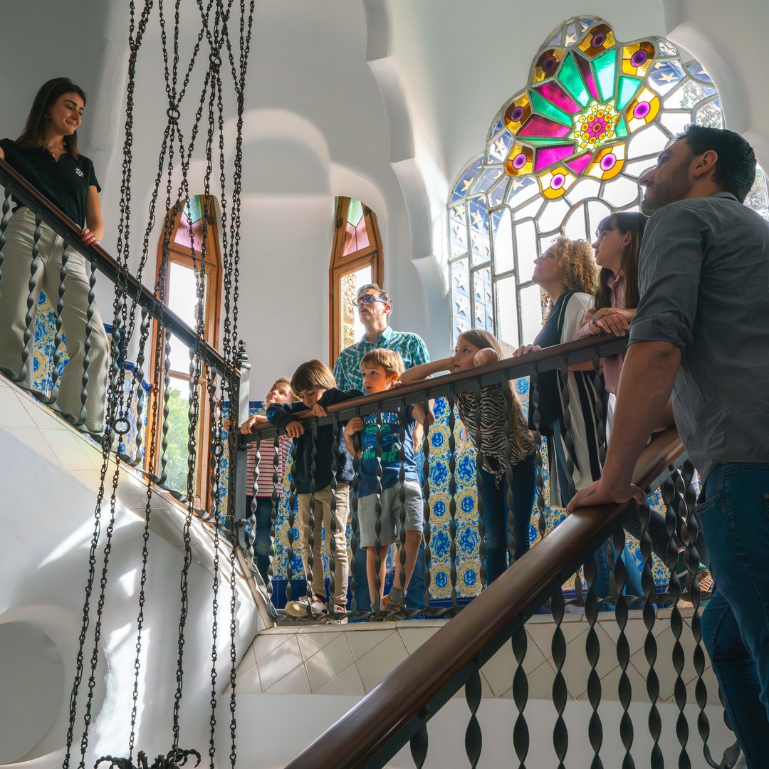 Galería de fotos para redes