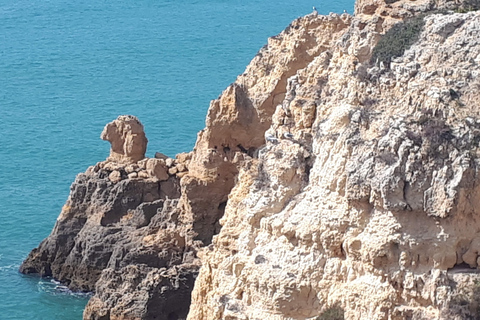 Lagos: Bootsfahrt zu den Grotten von Ponta da Piedade/HöhlenBootsfahrt zu den Grotten in Lagos nicht privat