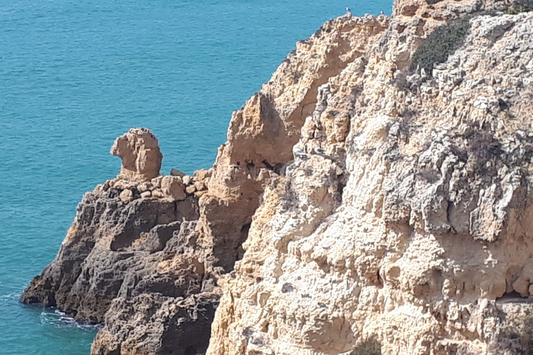 Lagos: Wycieczka łodzią do grot Ponta da Piedade/jaskinieWycieczka łodzią do grot w Lagos nie jest prywatna