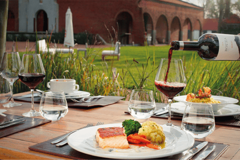 Montevideo: Tour di degustazione di vini per i passeggeri delle crociere