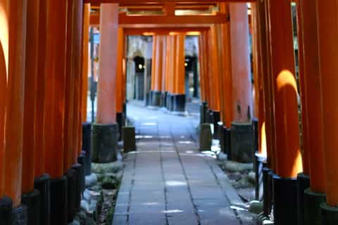 Kyoto: Private Tour with Local Expert Guide & Custom Route - Image 3