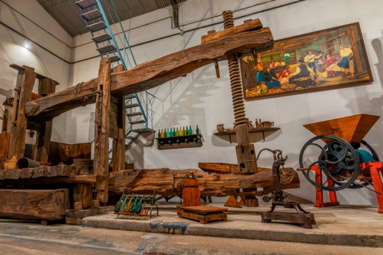 Vda. de Angelón Cider: guidat besök på en ciderpress med provsmakning