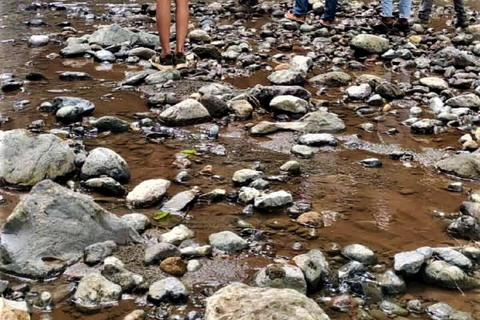 Cascate di Materuni, tour del caffè e sorgenti termali di Chemka: Gita di un giorno