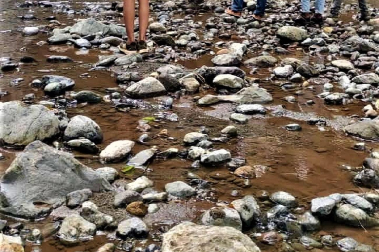 Cascate di Materuni, tour del caffè e sorgenti termali di Chemka: Gita di un giorno