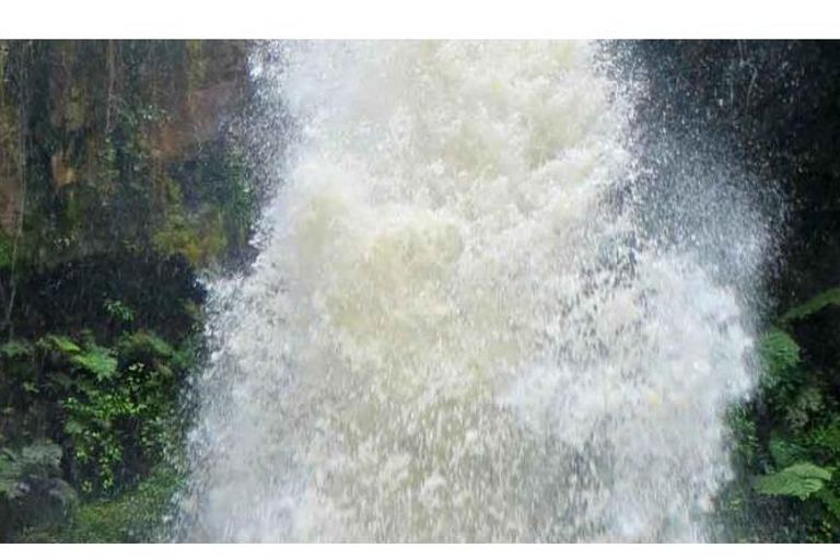 10-Day tour in Rwanda