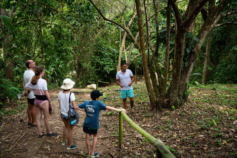 Santa Marta: Taironaka Indigenous Tour