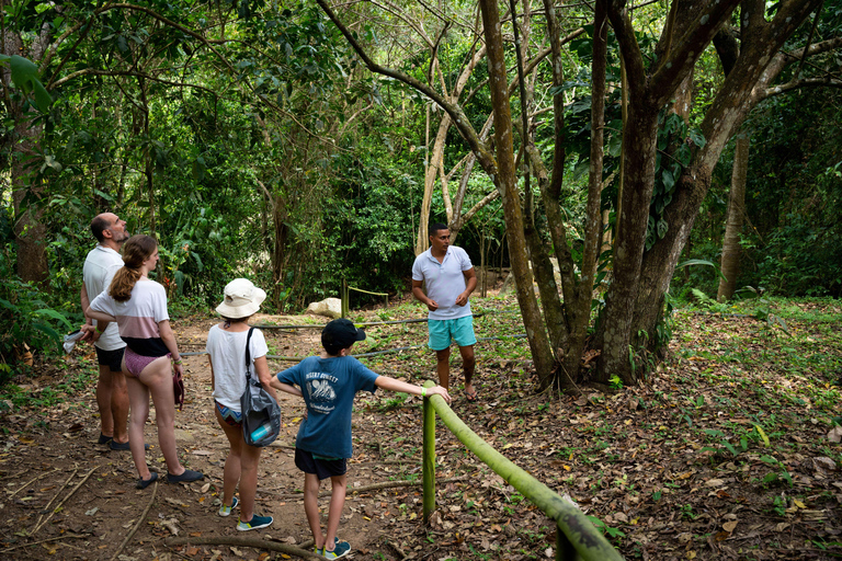 Santa Marta: Taironaka Indigenous Tour