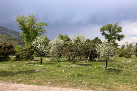 Från Tbilisi: Rundvandring i Mtskheta längs floden Aragvi