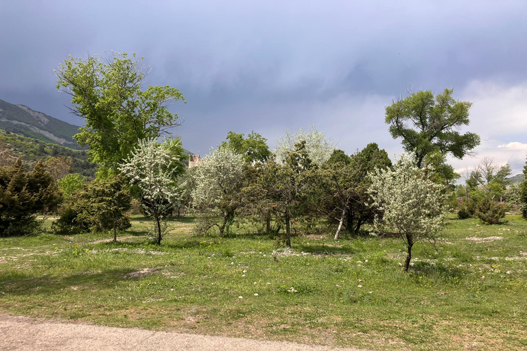 Från Tbilisi: Rundvandring i Mtskheta längs floden Aragvi