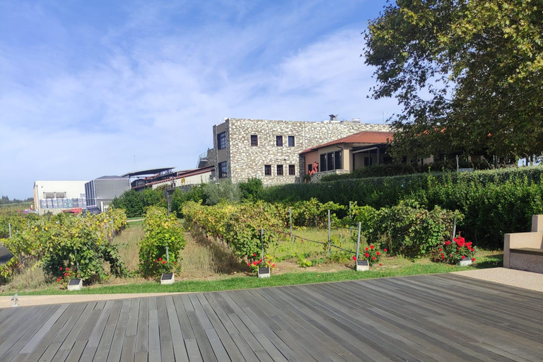 Thessaloniki:Where Fine Wines Meet Breathtaking Horizons
