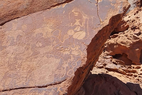 Windhoek: Namibia 12-Day Self-Drive Tour with Lodging