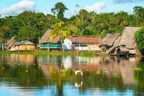 Von Iquitos aus: 4-tägige Tour durch den nördlichen Amazonas