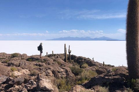 PIANA DI SALE DI UYUNI, 1 GIORNO