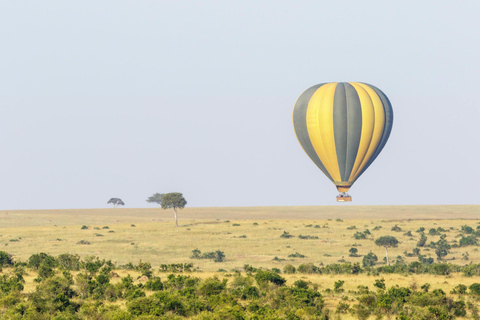 Die 3-tägige Serengeti-Bollon-Safari| Tansania Wildlife-Safari