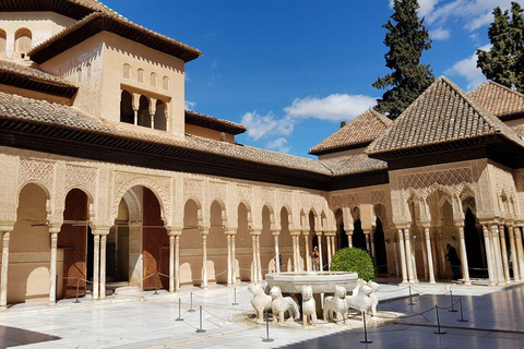 Granada: Guidad tur i Alhambra inklusive Nasridiska palatsetGranada: Alhambra med Nasridiska palatset Guidad tur