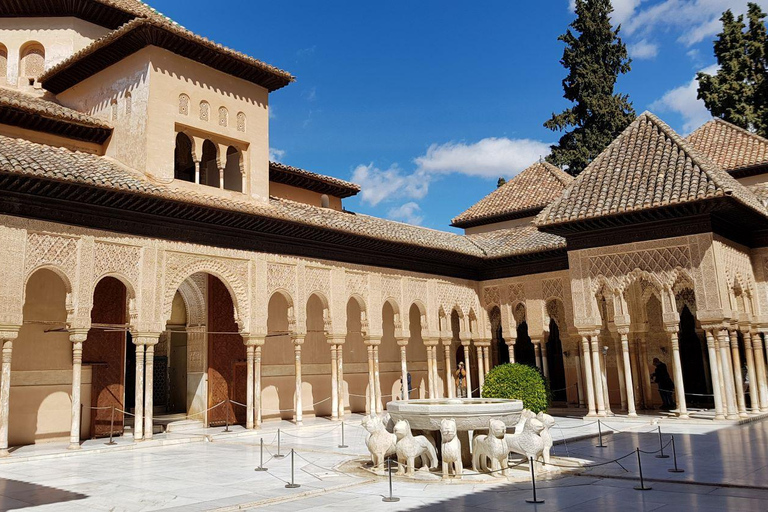 Granada: Guidad tur i Alhambra inklusive Nasridiska palatsetGranada: Alhambra med Nasridiska palatset Guidad tur