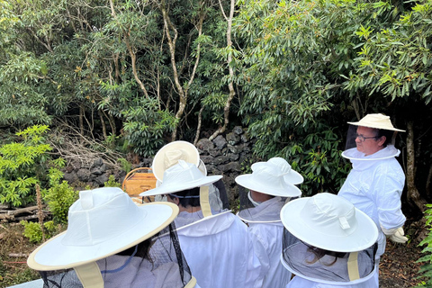Ilha Terceira: Beekeeping Experience with Honey Tasting