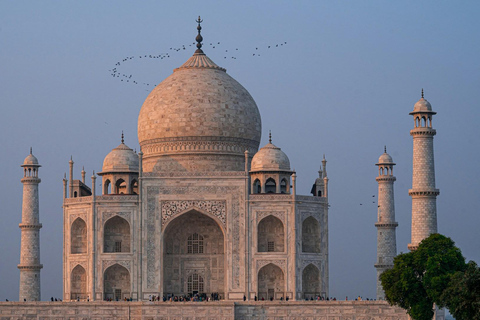 Delhi: 4-tägige Tour durch das Goldene Dreieck mit luxuriöser UnterkunftTour mit Unterkunft im 4-Sterne-Hotel