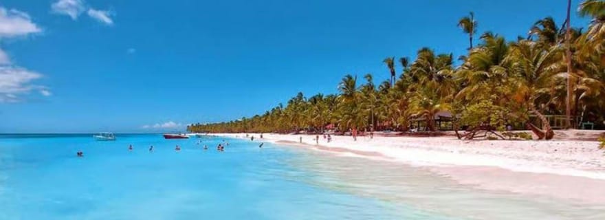 Punta Cana : excursion d'une journée sur l'île de Saona avec déjeuner au homard