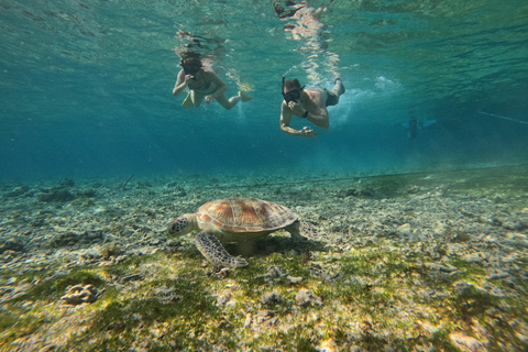 Gili Air: Small-Group Snorkeling Tour with GoPro