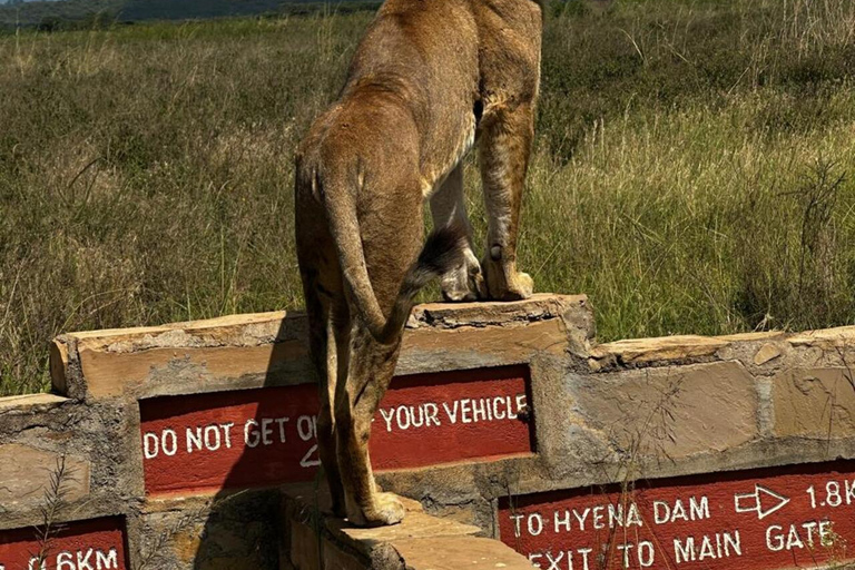 Nairobi National Park 5-Hour Game Drive Morning or Afternoon