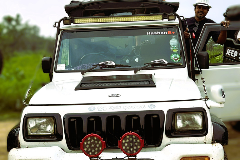 From Sigiriya-Hurulu Eco Park Jeep Safari Excluded tickets