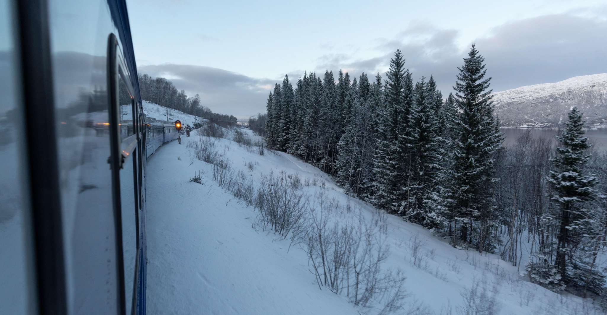 From Narvik, Round-Trip Arctic Train Ride on Ofoten Railway - Housity