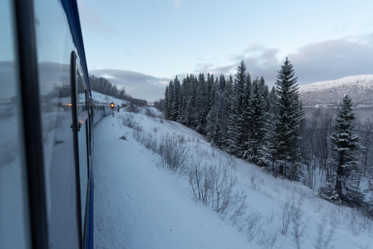Vanuit Narvik: Arctische treinreis met Ofoten RailwayVan Narvik: Arctische treinreis heen en terug op Ofoten Railway