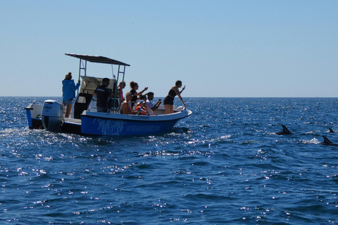 Sesimbra: Tour in barca per l&#039;osservazione dei delfini di Arrábida con biologoSesimbra: Tour in barca con biologo per l&#039;osservazione dei delfini di Arrábida