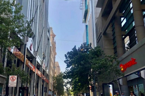 Visite à pied comme un habitant de la ville de SantiagoVisite à pied de la ville de Santiago