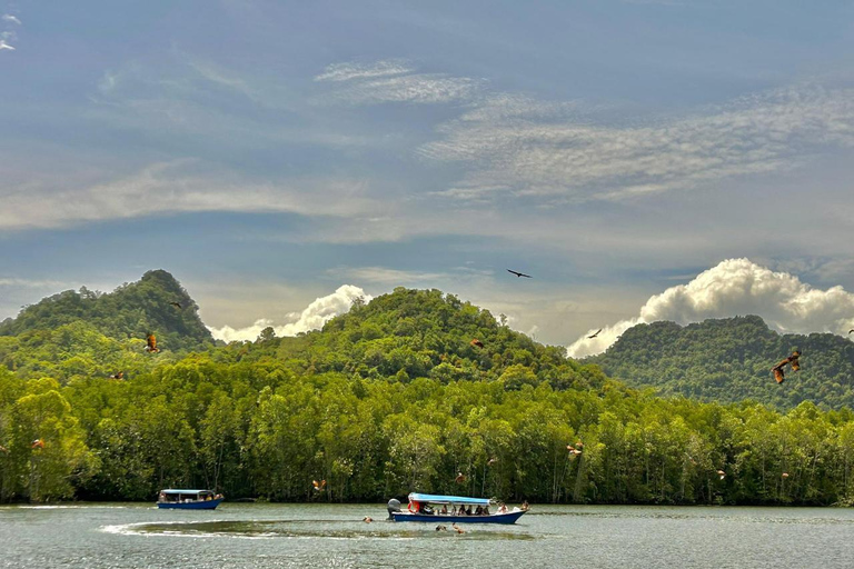 Langkawi: Mangrove Cruise with Eagle Feeding & Beach Swim 3 Hour estimated Mangrove+Beach Swim