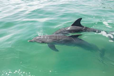 Depuis Tulum : Excursion en bateau à Sian Kaan avec déjeuner