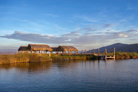 From Monterrey: Tour a Cuatro Ciénegas one day tour