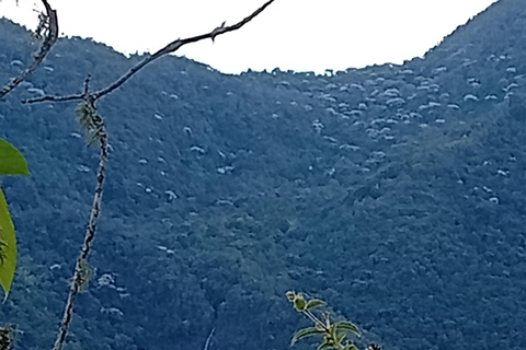 Trekking and Fresh Air in the Farallones de Cali