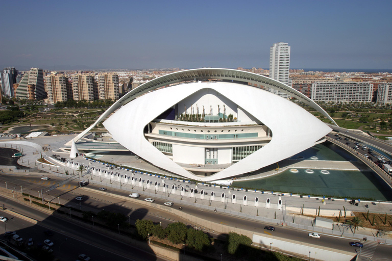 Valencia: Entrance to the Palau de Les Arts Valencia: Admission to the Palau de Les Arts with Brochure