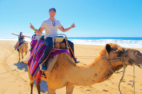 Tangier: Private Sightseeing &amp; Camel RideTangier: 5 Hours Camel trek and old town