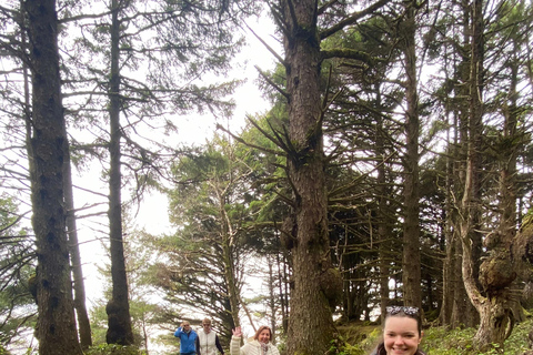 Seattle: Twilight Tour and Olympic National Park