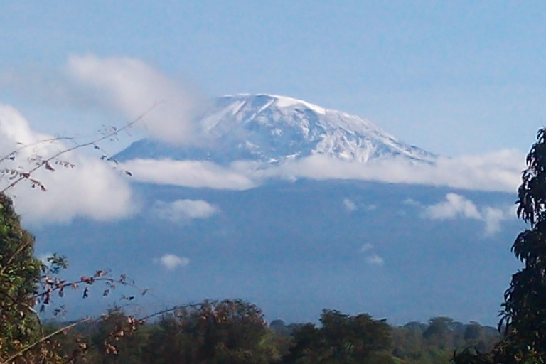 Dagtocht van Moshi naar het nationale park Mandara Hut Kilimanjaro