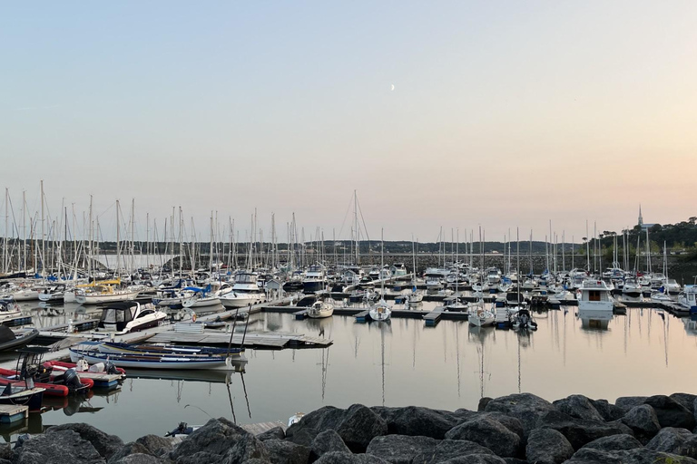 Québec City: Sunset Zodiac Boat Tour on St. Lawrence River
