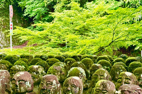 Kyoto: Vollständig anpassbare Halbtagestour durch die alte HauptstadtKyoto: Vollständig anpassbare Halbtagestour in der alten Hauptstadt