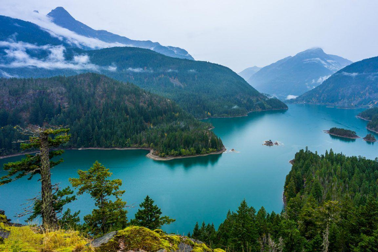 Seattle: Mt. Baker & North Cascades Full-Day Shared Tour