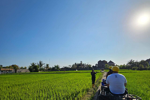 Ubud: Gorila face atv tubingAtv individual + Tubo1