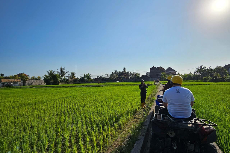 Ubud: Gorila face atv tubingAtv individual + Tubo1