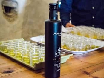 Olivar Monterosa: visita al molino y cata de aceite de oliva