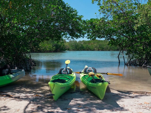 Miami : visite guidée en paddle du parc d'État de l'Oleta River