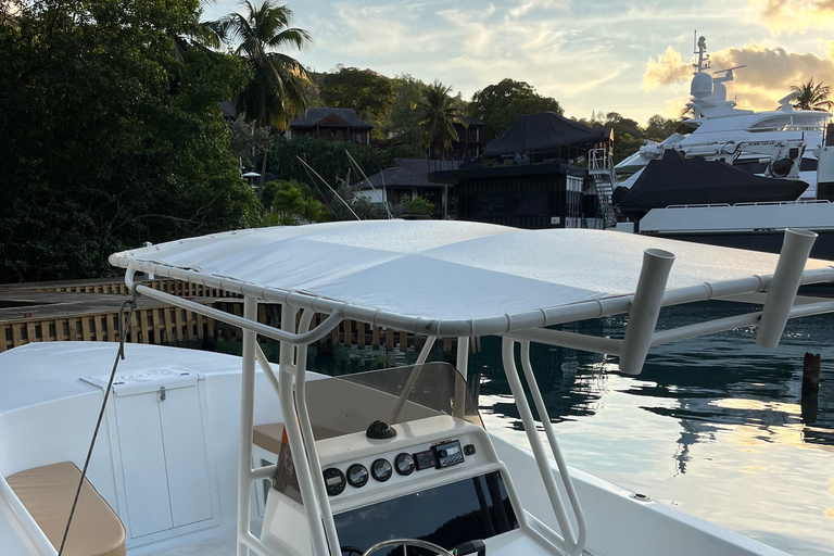 St. Lucia: Land and Sea Full-Day Coastal Adventure