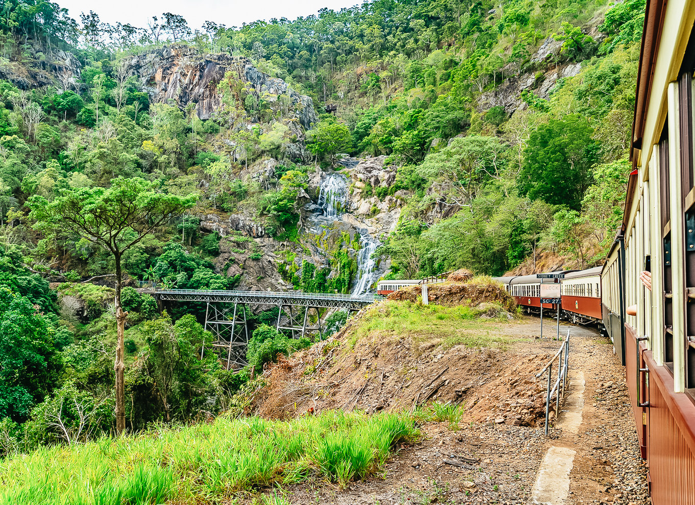 Fra Cairns: Selvguidet Kuranda-tur med tog og Skyrail