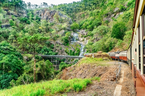 Cairns : journée auto-guidée à Kuranda et train touristiqueSkyrail Up et retour du train