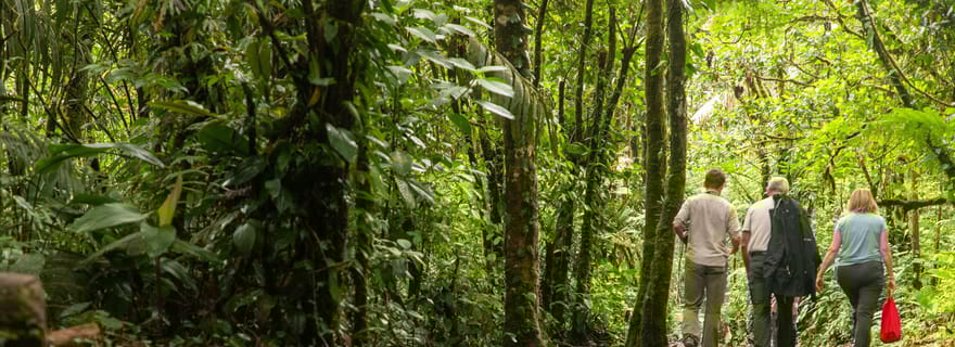 Chute d'eau du Rio Celeste dans le parc national du volcan Tenorio