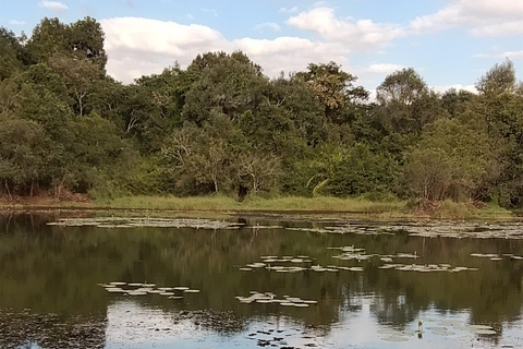 Nairobi: tour guiado a pie por el bosque de Karura